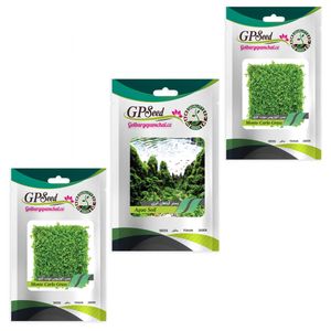 بذر چمن مونت‌کارلو مدل gpf 001 بسته 2 عددی