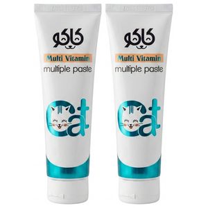 خمیر مولتی ویتامین گربه کاکو مدل multiple paste وزن 100 گرم بسته 2 عددی