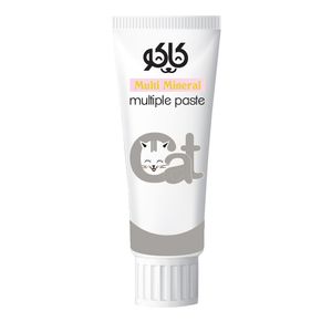 خمیر مینرال و مولتی ویتامین گربه کاکو مدل multi paste وزن 100 گرم