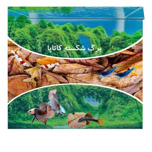 داروی ضد استرس ماهی آکواریوم مدل bk2022 حجم 10 میلی لیتر