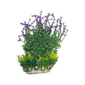 درختچه تزیینی آکواریوم مدل گل ریز