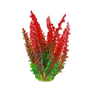 درختچه تزیینی آکواریوم مدل گل