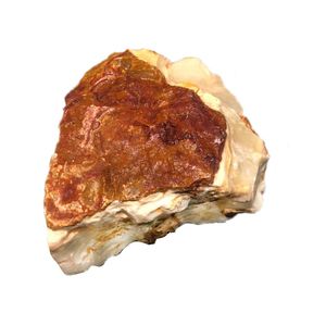 سنگ تزیینی آکواریوم مدل sng2