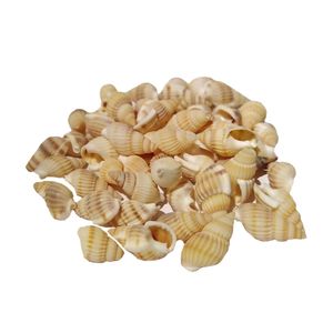 صدف تزئینی مدل yelo20 وزن 40 گرم
