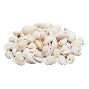 صدف تزئینی کد 5432 وزن 100 گرم