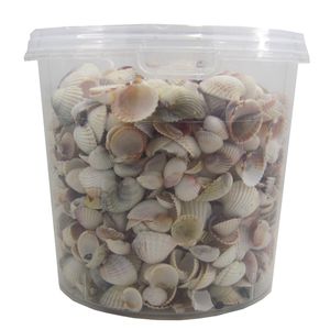 صدف تزیینی آکواریوم کد 0320 وزن 600 گرم