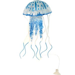 عروس دریایی آبی رنگ مدل fluorescent سایز بزرگ