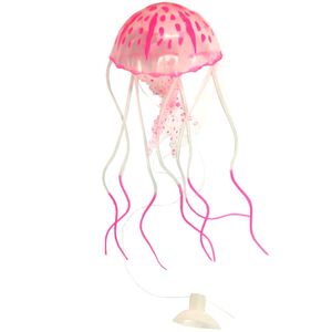 عروس دریایی مدل fluorescent سایز بزرگ