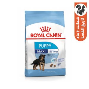 غذا خشک سگ رویال کنین مدل maxi pupy وزن 4 کیلوگرم