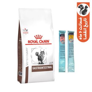 غذا خشک گربه رویال کنین مدل gastrointestinal وزن 2 کیلوگرم به همراه بستنی گربه