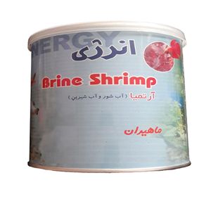 غذا ماهی انرژی مدل 7070k وزن 16گرم