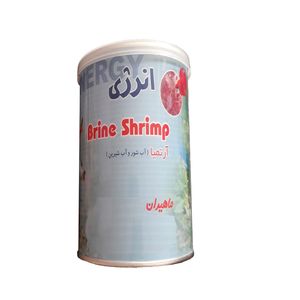 غذا ماهی انرژی مدل 7070k وزن 40گرم