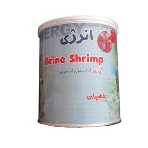 غذا ماهی انرژی مدل 7070k وزن 60 گرم