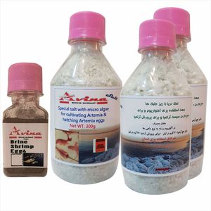 غذای آبزیان سیست آرتمیا مدل avina sallty کد 3s20 وزن 1070گرم مجموعه 4 عددی