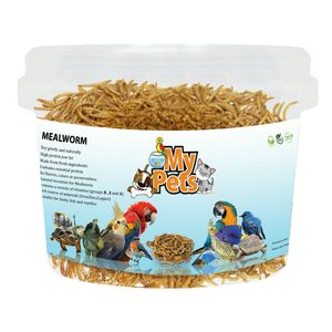 غذای تشویقی پرندگان مای پتز مدل mealworm وزن 40 گرم
