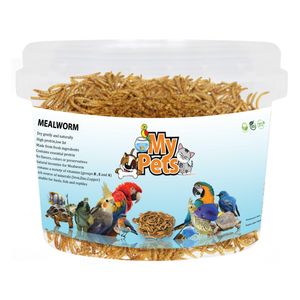 غذای تشویقی پرندگان مای پتز مدل mealworm وزن 70 گرم