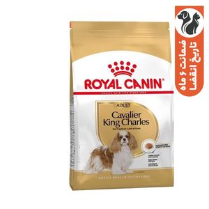 غذای خشک سگ رویال کنین مدل cavalier king charles adult وزن 1.5 كيلوگرم