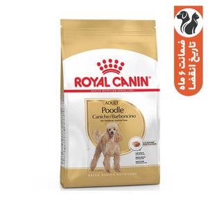 غذای خشک سگ رویال کنین مدل poodle adult وزن 1_5 کیلوگرم