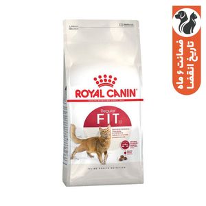 غذای خشک گربه رویال کنین مدل regular fit 32 وزن 4 کیلوگرم