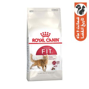 غذای خشک گربه رویال کنین مدل regular fit 32 وزن 400 گرم