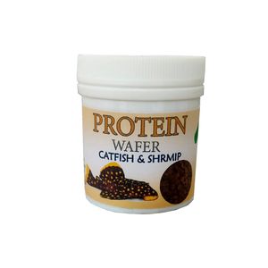 غذای ماهی کتفیش و کفخوار ها مدل protein وزن 50 گرم