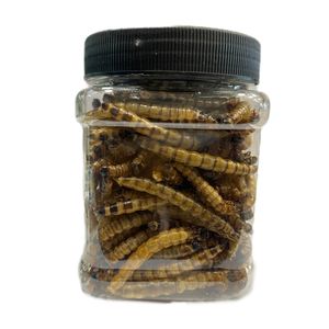 غذای پرنده و ماهی مدل سوپر میلورم  کد superworm65 وزن 70 گرم