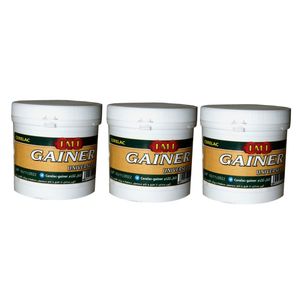 غذای کمکی طوطیسانان و سایر پرندگان زینتی گینر مدل small003 وزن200گرم مجموعه 3 عددی