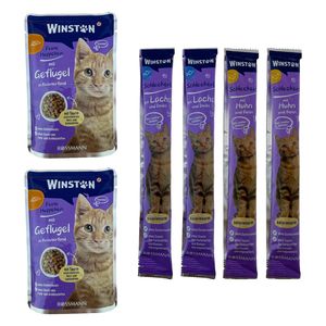 پوج گربه وینستون مدل مرغ در عصاره گیاهی به همراه بستنی گربه مرغ و ماهی مجموعه 6 عددی