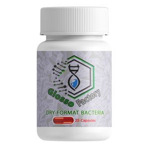 پودر باکتری زنده گلوسو فکتوری کد dfb01 بسته 25 عددی