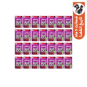 پوچ ویسکاس مدل گوشت گاو وزن 85 گرم بسته 28 عددی