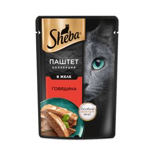 پوچ گربه بالغ شبا مدل paste collection طعم گوشت گاو در ژله وزن 75 گرم