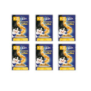 پوچ گربه بالغ فلیکس مدل chicken وزن 100 گرم مجموعه 6 عددی