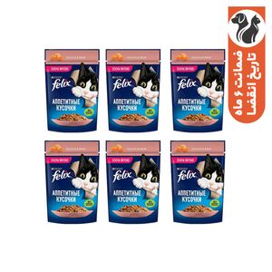 پوچ گربه بالغ فلیکس مدل in jelly طعم ماهی سالمون وزن 450 گرم بسته 6 عددی