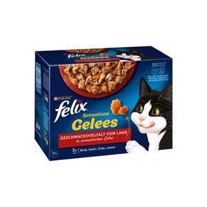 پوچ گربه بالغ فلیکس مدل mix وزن 1020 گرم بسته 12 عددی