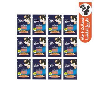 پوچ گربه بالغ فلیکس مدل the delicacies با طعم ماهی سالمون بسته 12 عددی