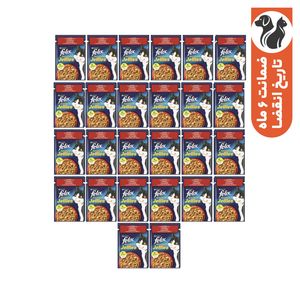 پوچ گربه بالغ فلیکس مدل the delicacies با طعم گوشت گاو و پرندگان بسته 26 عددی