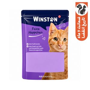 پوچ گربه بالغ وینستون مدل geflugel طعم مرغ و پرندگان در سس هویج وزن 100 گرم