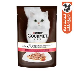 پوچ گربه بالغ گورمت مدل gourmet a la carte طعم ماهی قزل آلا و سبزیجات وزن 85 گرم