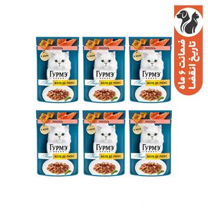 پوچ گربه بالغ گورمت مدل perle pack طعم ماهی سالمون بسته 6 عددی