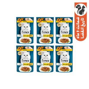 پوچ گربه بالغ گورمت مدل perle pack طعم مرغ بسته 6 عددی