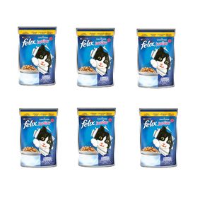 پوچ گربه جونیور مدل chicken وزن 100 گرم مجموعه 6 عددی