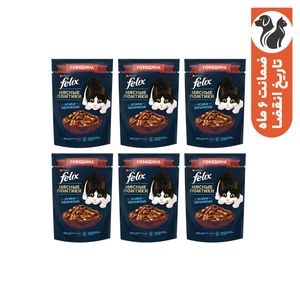 پوچ گربه فلیکس مدل in sauce با طعم گوشت گاو وزن 410 گرم بسته 6 عددی
