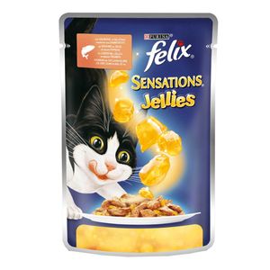 پوچ گربه فلیکس مدل salmone وزن 100 گرم
