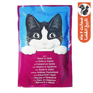 پوچ گربه فلیکس مدل ژلی طعم اردک وزن 85 گرم