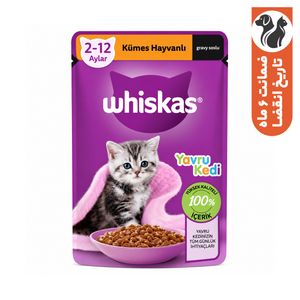 پوچ گربه ویسکاس مدل جونیور خورشتی در سالسا وزن 85 گرم بسته 5 عددی