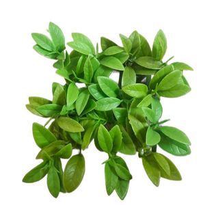 چمن مصنوعی آکواریوم مدل پدیلانتوس