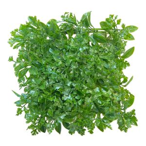 چمن مصنوعی آکواریوم مدل پرتراکم طرح برگ گشنیز پرتقال سایز 25x25 سانتی متر