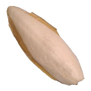 کف دریا کد m 55 وزن ۵۵ گرم