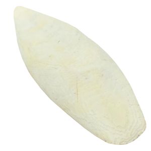 کف دریا کد m136 وزن 70 گرم