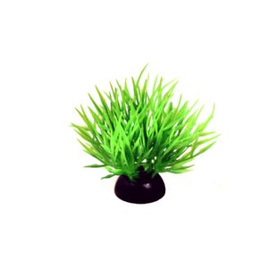 گیاه آکواریوم کد 001